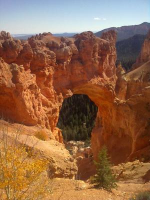 The doorway to nature