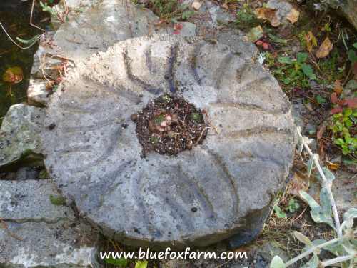 The finished millstone, in place by the pond...