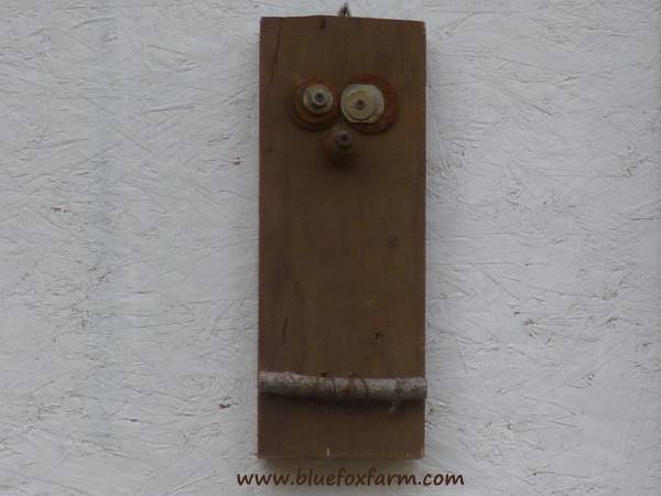 The funny face of this owl disguises its true purpose...
