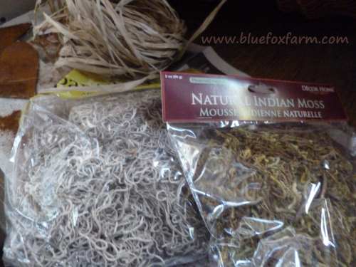Indian moss, raffia and other purchases from the dollar store...