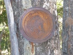 Pie plates make great punched tin projects...