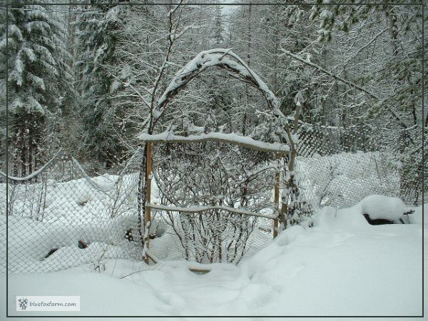 Rebar archway over a rustic gate