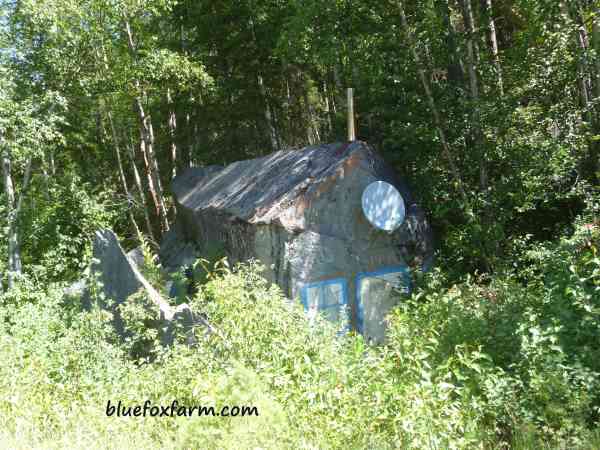 Then there's this shed, which is actually a rock decorated to look like one