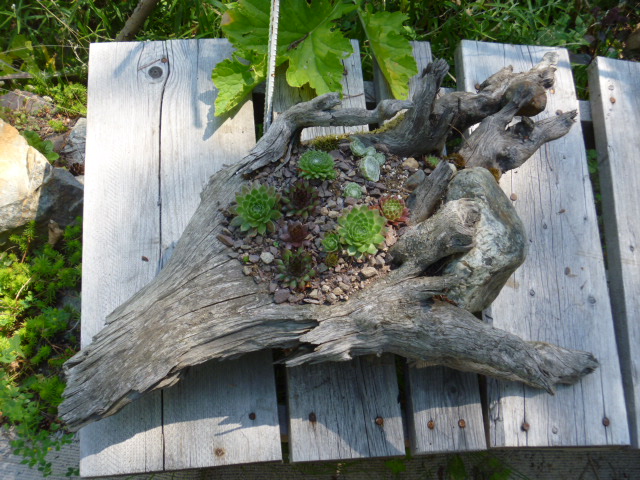 rustic-bench-with-root-planter.jpg