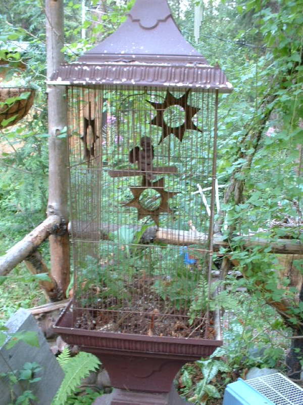 bird cage that looks like an old Victorian lift