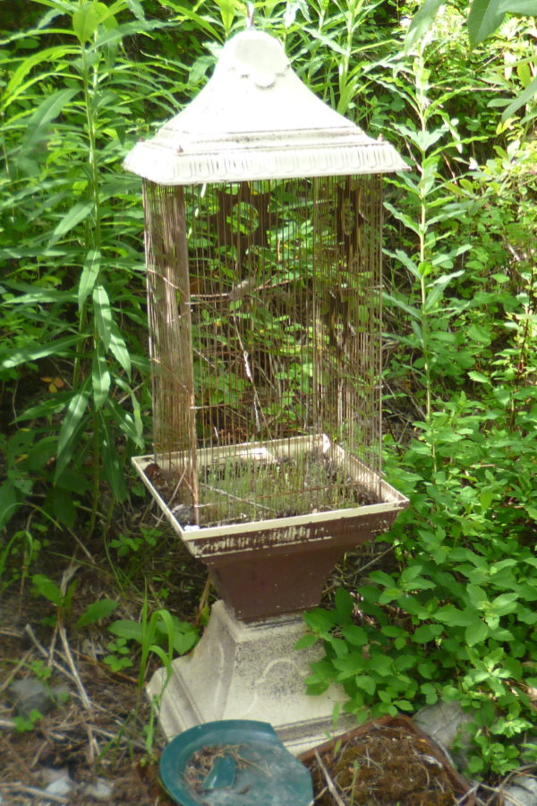 The paint on the bird cage is wearing off in the weather