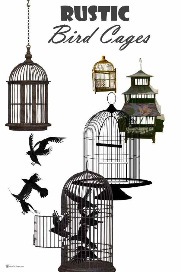 Rustic Bird Cages weathered and junky