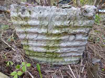 Rustic Hypertufa Basket - starting to show its age...