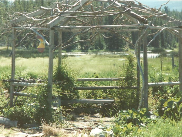 The same twig gazebo, in summer time