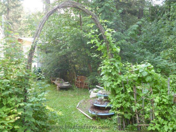 Rustic Twig Archway frames the view...