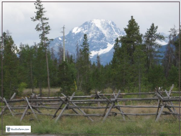 Russel Fence made with Jackpine rails