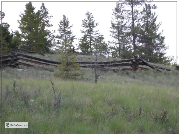 Zig Zag Fence made of pine logs