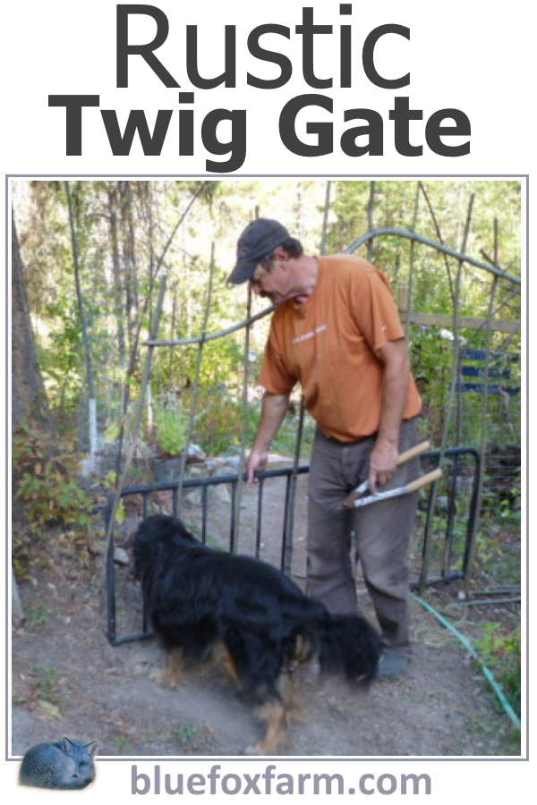 Building my Rustic Twig Gate to keep the deer out of my garden was a long time in the planning stages; it has finally come to fruition...