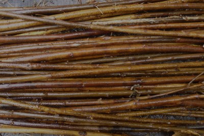 Dried Willow Twigs - the colors range from taupe to pink, to red to burgundy, depending on the species