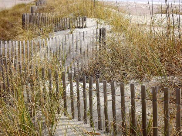 Snow or sand fencing