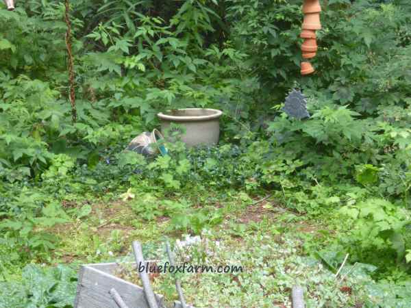 Placing the bird bath is important - so birds are safe from predators