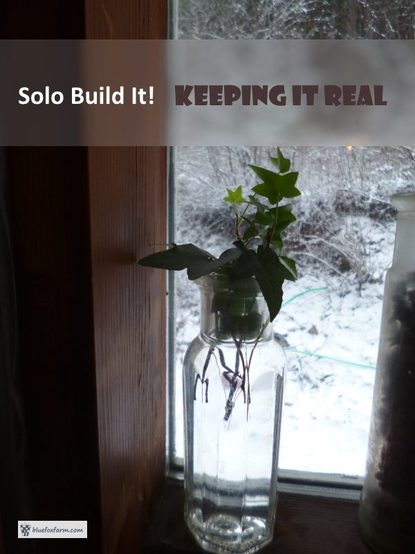 Solo Build It! Keeping It Real