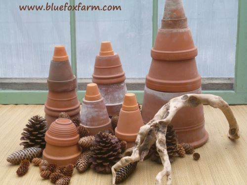 Terracotta Pots and Pinecones...