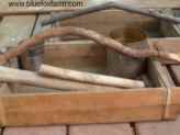 Twig handled trug filled with garden goodies...