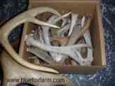 Antler Crafts