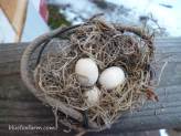 Faux Birds Nests