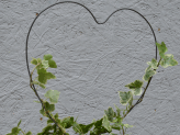 Heart Shaped Topiary
