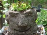 Hypertufa Plant Pot Faces