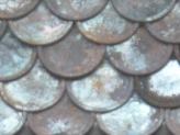 Rustic Fish Scale Shingles