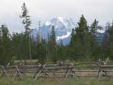 Rustic Twig Fences