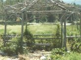 Rustic Garden Structures 