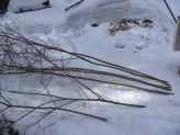 Twig Tuteur