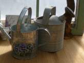 Vintage Watering Cans