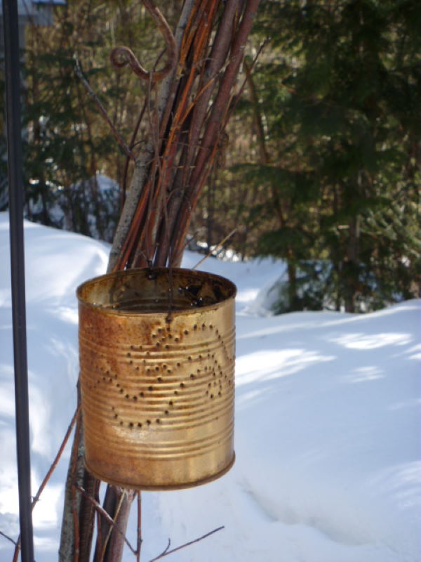 tin can lantern hanging outside