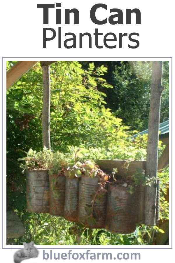 tin-can-planters-600x900.jpg