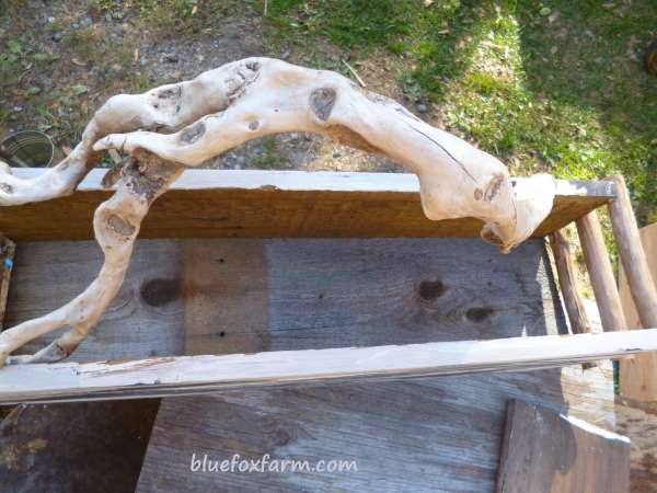 Driftwood handle - the more gnarled and twisty, the better