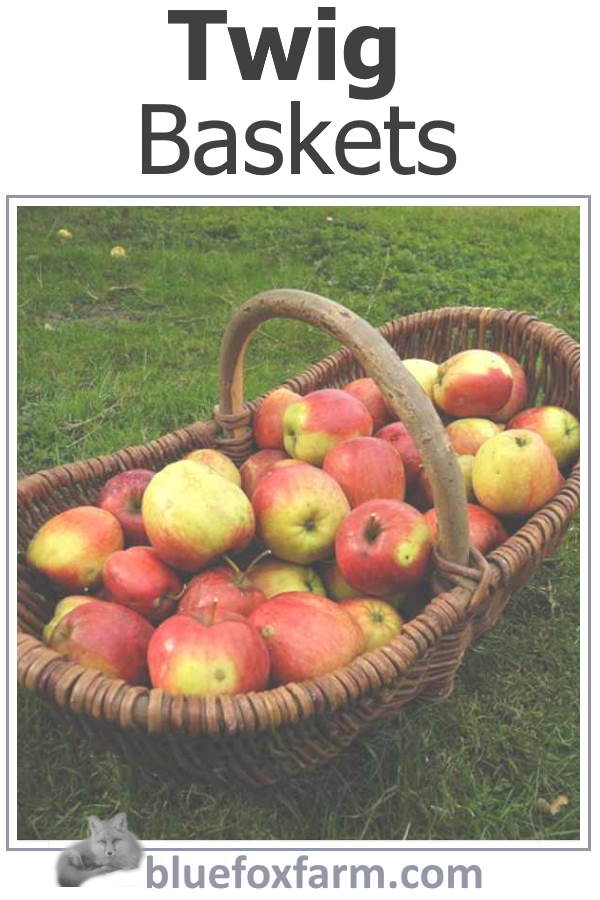 Twig Baskets are a perfect way to make a strong, durable yet beautiful rustic craft; learn which twigs and other natural materials are the best.