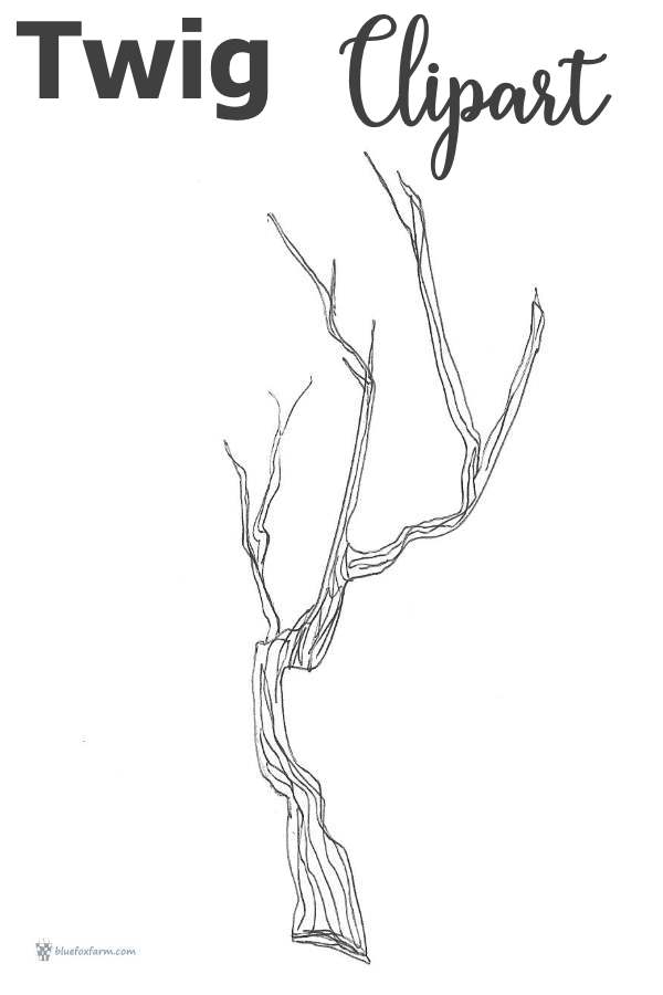 Twig Clipart