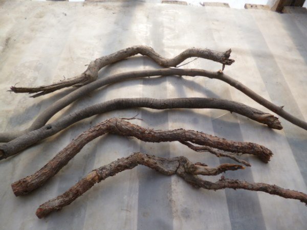 Selection of Twigs for handles