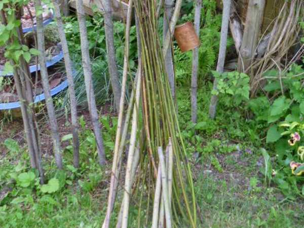 Assembling the materials - twigs...