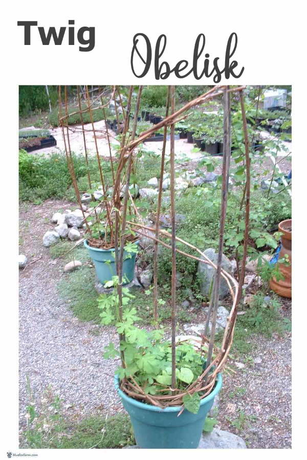 This twig obelisk uses spiraling grapevines for strength