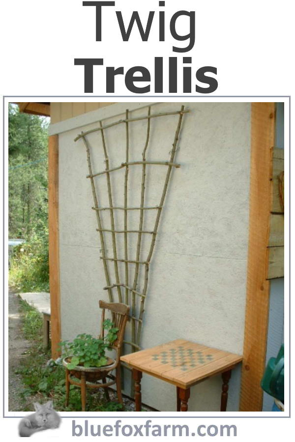 twig-trellis-600x900.jpg