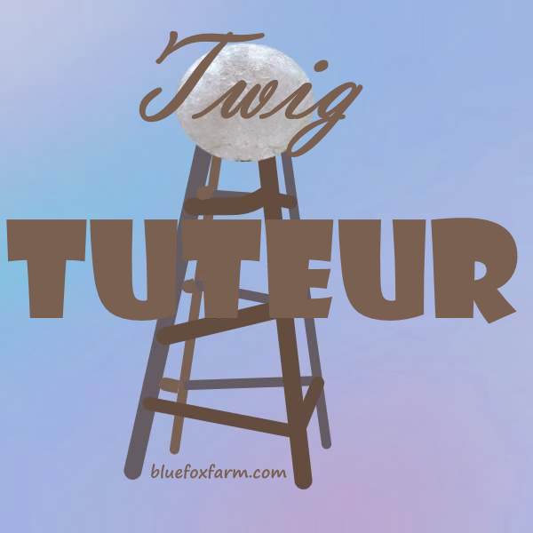 Twig Tuteur