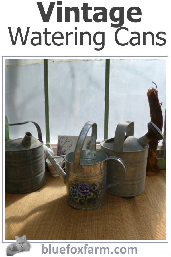 Vintage Watering Cans