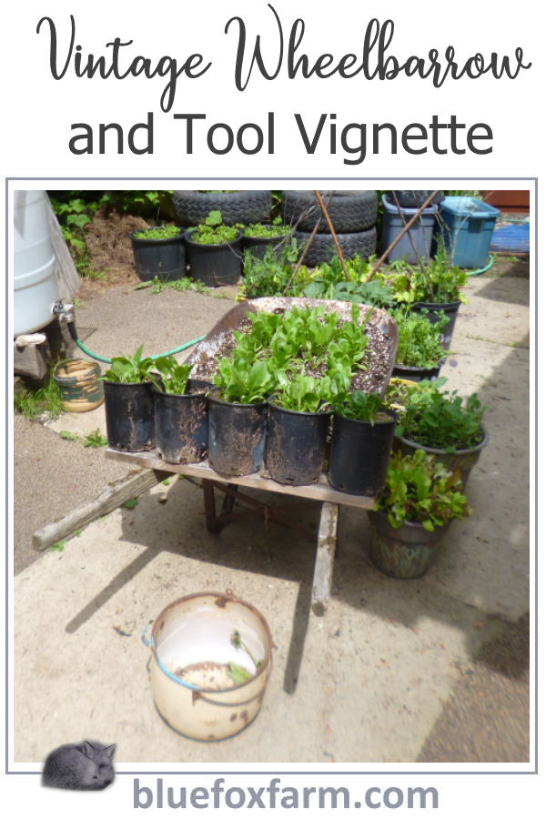 vintage-wheelbarrow-and-tool-vignette600x900.jpg
