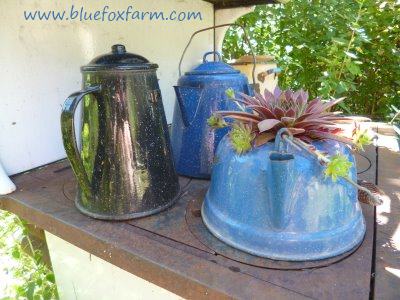 Eclectic grouping of enamel ware kettles and coffee pots