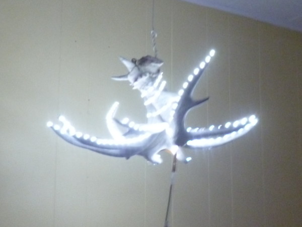 weathered-antler-chandelier-lighted600x450.jpg