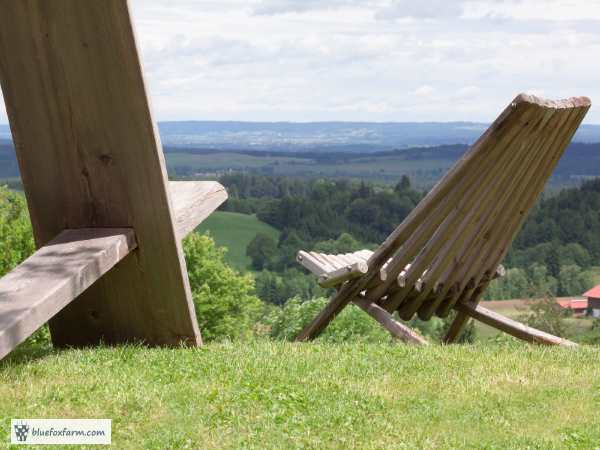 Two simple wooden chairs