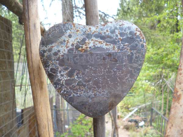 Rusty Heart Shaped Tin